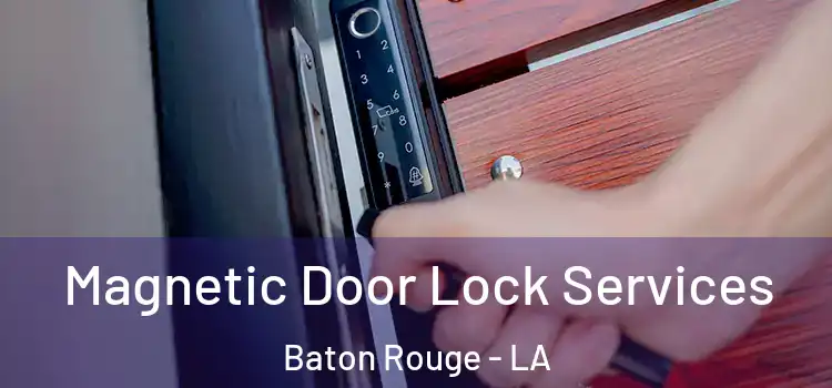 Magnetic Door Lock Services Baton Rouge - LA